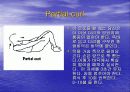 요통(Herniated disk)의 발생 원인과 증상 그리고 효과적인 치료방법 18페이지