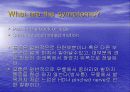 요통(Herniated disk)의 발생 원인과 증상 그리고 효과적인 치료방법 23페이지