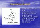 요통(Herniated disk)의 발생 원인과 증상 그리고 효과적인 치료방법 33페이지