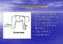 요통(Herniated disk)의 발생 원인과 증상 그리고 효과적인 치료방법 34페이지