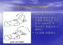요통(Herniated disk)의 발생 원인과 증상 그리고 효과적인 치료방법 40페이지