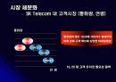 광고분석-TTL 마케팅과 광고 전략, 그리고 성공요인 분석 11페이지