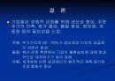 SCM(Supply Chain Management)란 무엇인가 15페이지