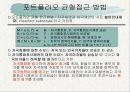 [외환시장론]  환율, 이자율, 및 물가상승률과 환율결정모형 4페이지