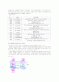 LCD에 대하여 2페이지
