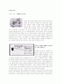 사진의 역사 1페이지