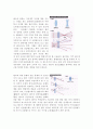 사진의 역사 11페이지