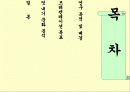 대학생의 멋 내기 문화 분석 2페이지