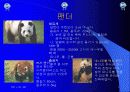 유아교육 7페이지