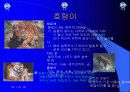 유아교육 8페이지