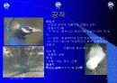 유아교육 9페이지
