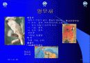 유아교육 12페이지