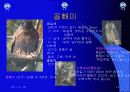 유아교육 13페이지