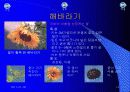 유아교육 14페이지