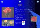 유아교육 15페이지