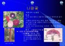 유아교육 16페이지