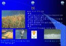 유아교육 18페이지