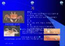 유아교육 19페이지