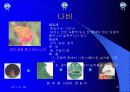 유아교육 20페이지