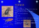 유아교육 21페이지