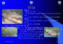 유아교육 23페이지