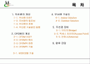 OFDM  무선랜(Wireless LAN) 제안서OFDM  무선랜(Wireless LAN) 제안서 2페이지