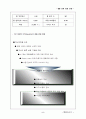 TNT 포스트그룹(TPG)의 국제물류전략과 국제마케팅 5페이지