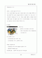 TNT 포스트그룹(TPG)의 국제물류전략과 국제마케팅 24페이지