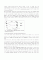 노화와 세포에 대한 관계와 과정 그리고 가설들 11페이지