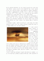 Myxobacteria의 genetics와 application 3페이지