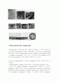 Myxobacteria의 genetics와 application 7페이지