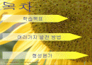 다양한 전력생산 방법 및 특징(발전소별 특징과 기술) 2페이지