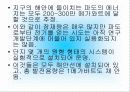 다양한 전력생산 방법 및 특징(발전소별 특징과 기술) 11페이지