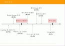 광고론 및 광고전략-Total  홍보 기획 및 제작물  제안 16페이지