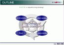 제품의 시장진입 전략- 자일리톨 XYLITOL 껌 사례 중심으로 5페이지
