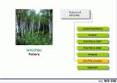 제품의 시장진입 전략- 자일리톨 XYLITOL 껌 사례 중심으로 23페이지