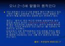 환인_보령제약재무분석.ppt 15페이지