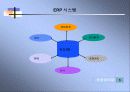 ERP의 정의,역사,특징 및 ERP 시장의 국내환경 분석 6페이지