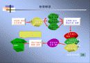 ERP의 정의,역사,특징 및 ERP 시장의 국내환경 분석 11페이지