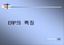 ERP의 정의,역사,특징 및 ERP 시장의 국내환경 분석 13페이지
