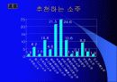 진로 참이슬 사례를 중심으로 한 마케팅 및 경쟁 전략 분석 39페이지