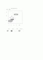외식업 사업계획서-한식 페밀리 레스토랑의 마케팅 전략 21페이지
