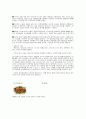 외식업 사업계획서-한식 페밀리 레스토랑의 마케팅 전략 25페이지