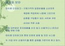인터넷 쇼핑몰 11페이지