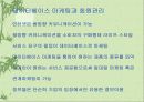 인터넷 쇼핑몰 12페이지