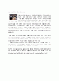 서편제(시간의흐름에따라, 영화구조, `길`의 의미, 관람평) 2페이지