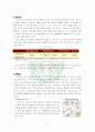 스타벅스 15페이지
