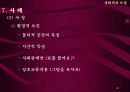 사회복지실천기술에서의 생태체계 이론 25페이지