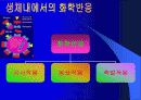 건강과 식품영양-환경호르몬 문제에 관한 비판적 이해와 분석 4페이지