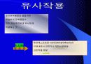 건강과 식품영양-환경호르몬 문제에 관한 비판적 이해와 분석 5페이지